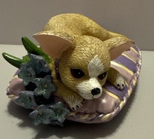 2012 chihuahua love for sale  Vernon Rockville