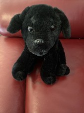 Royal canin plush for sale  HARLOW