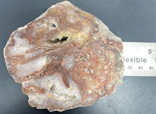 Beautiful dryhead agate for sale  Jackson