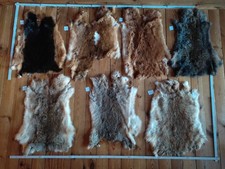 Hasen kaninchen fell gebraucht kaufen  Bonndorf im Schwarzwald