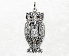 Cute owl bird for sale  Pompano Beach