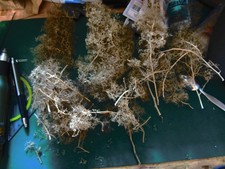 Materialien den dioramenbau gebraucht kaufen Materialien den dioramenbau gebraucht kaufen  Essen