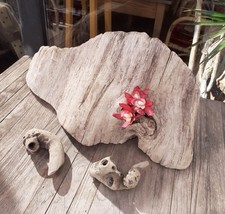 Treibholz schwemmholz 53 gebraucht kaufen  Hilden
