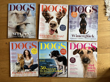 Dogs magazin zeitschrift gebraucht kaufen  Münster