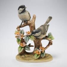 Black capped chickadee for sale  Boonton