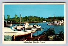 Tidewater virginia fishing for sale  USA