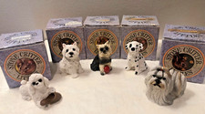 Stone critters puppy for sale  Carleton