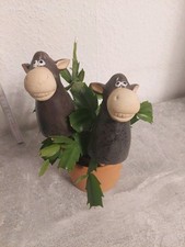 Pflanzenstecker esel beetsteck gebraucht kaufen  Wunsiedel