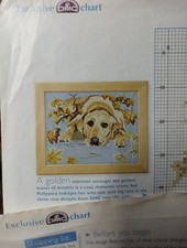 retriever cross golden for sale retriever cross golden for sale EASTLEIGH
