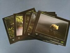 Geo kalenderblätter fotos gebraucht kaufen  Dauchingen