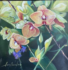 14x14 original haiti for sale  Miami