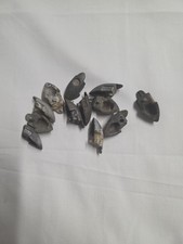 Kit vespa gs160 usato Kit vespa gs160 usato  Soresina