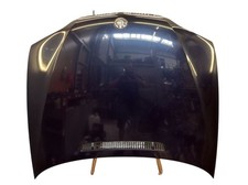 Motorhaube haube rientblau gebraucht kaufen  Wachtendonk