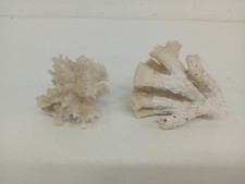 Natural coral aquarium for sale  UK
