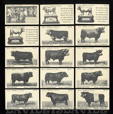 Liebig oxo bull usato  Verrua Savoia