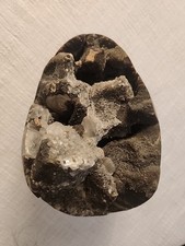 Septarian dragon egg for sale  Cincinnati