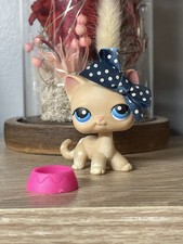 Petshop chat européen d'occasion  Cusset
