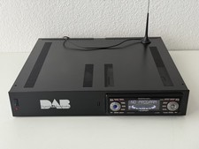 Blaupunkt woodstock dab d'occasion  Expédié en Belgium