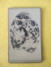Photo cdv curiosa d'occasion  Piney
