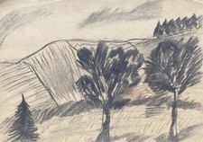 Landschaft bäumen expressiv gebraucht kaufen  Graal-Müritz, Seeheilbad