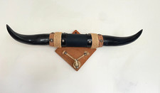 Cattle horn longhorn for sale  Ballston Spa