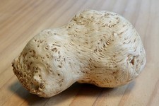 Große baumperle hexenei gebraucht kaufen  Oldenburg (Oldenburg)