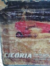 Cicoria copia catalogo usato  Ariano Irpino
