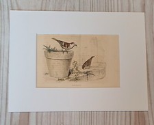 1852 lithographie kunstdruck gebraucht kaufen  Bad Nauheim