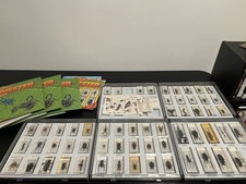 Mini biester nat gebraucht kaufen  Kaufering