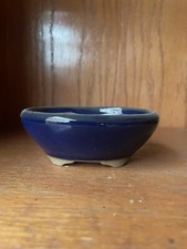 Japanese mini blue for sale  Santa Ana
