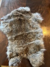 Rabbit pelt genuine for sale  Granger