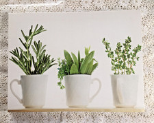 Leinwandbild blumen stillleben gebraucht kaufen  Hallerndorf