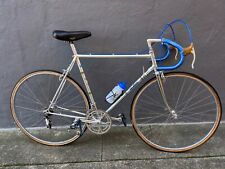 Late galmozzi 56cm for sale  San Francisco