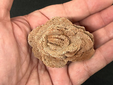 Barite rose oklahoma for sale  Sparta