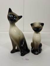 Pair siamese cats for sale  NORWICH