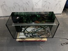 Terrarium zubehör schildkröt gebraucht kaufen Terrarium zubehör schildkröt gebraucht kaufen  Landsberg am Lech