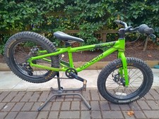 Genesis caribou kids for sale  LOANHEAD