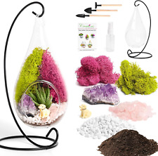 Plant terrarium kit d'occasion  Expédié en Belgium