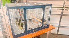 parrot cage for sale parrot cage for sale The Villages