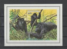 Feb mountain gorilla for sale  Roanoke