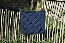 Cavalleria toscana dressage for sale  HADDINGTON