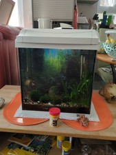 nano aquarium komplettset gebraucht kaufen  Zinnowitz
