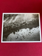 salgado genesis usato  Parma