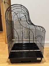 Liberta georgia bird for sale  MANCHESTER