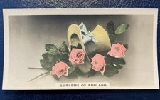 Rare cavanders homeland for sale  UK