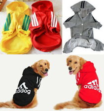 Adidog abbigliamento cane usato  Spedire a Italy