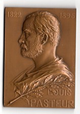 Medaille bronze louis d'occasion  Draguignan