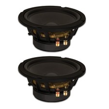 2 Woofers Goldwood Sound GW-8PC-4 Heavy Duty 4ohm 8" 330 Watts cada Alto-falante comprar usado  Enviando para Brazil