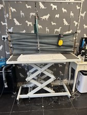 Huge electric dog for sale  HUDDERSFIELD