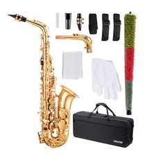 Vevor kit sassofono usato  Spedire a Italy
